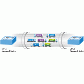 GS-4210-24P4C Planet Управляемый коммутатор второго уровня, 24 порта, с функцией PoE+