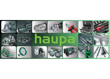 Урок истории. Haupa – традиционные ценности с погружением в прогресс.